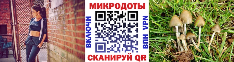 darknet формула  Щёлкино  Псилоцибиновые грибы прущие грибы 